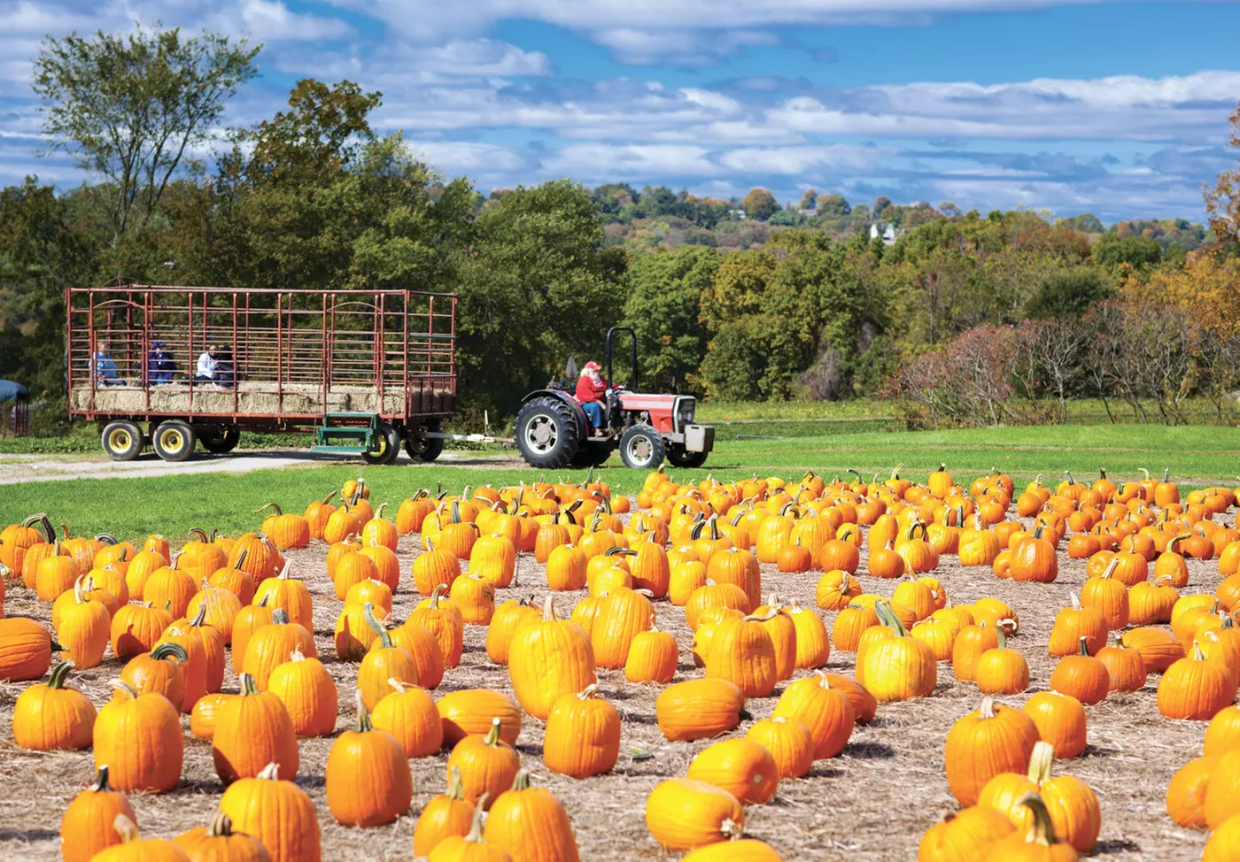 $13 for A Haunted Hayride For 2 (Reg. $26) Valid Oct. 5-7, 12-14, 19-21, 26-28 Only - Primary Image