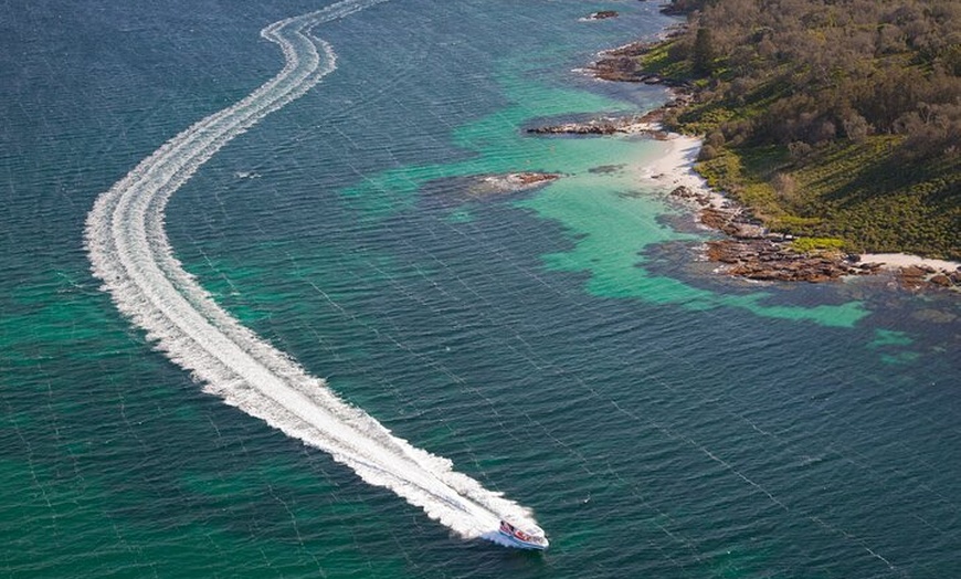 Image 1: Whale Watching Jervis Bay