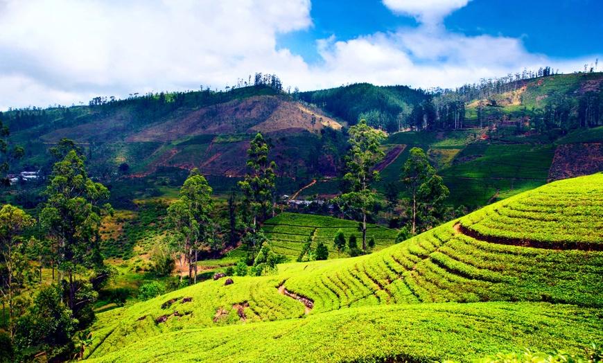 Image 17: ✈ SRI LANKA | From Colombo to Colombo - Discovering the 5 senses in...