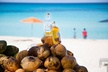 Bimini , Bahamas- Ferry Tickets- Overnight Option - Second Medium