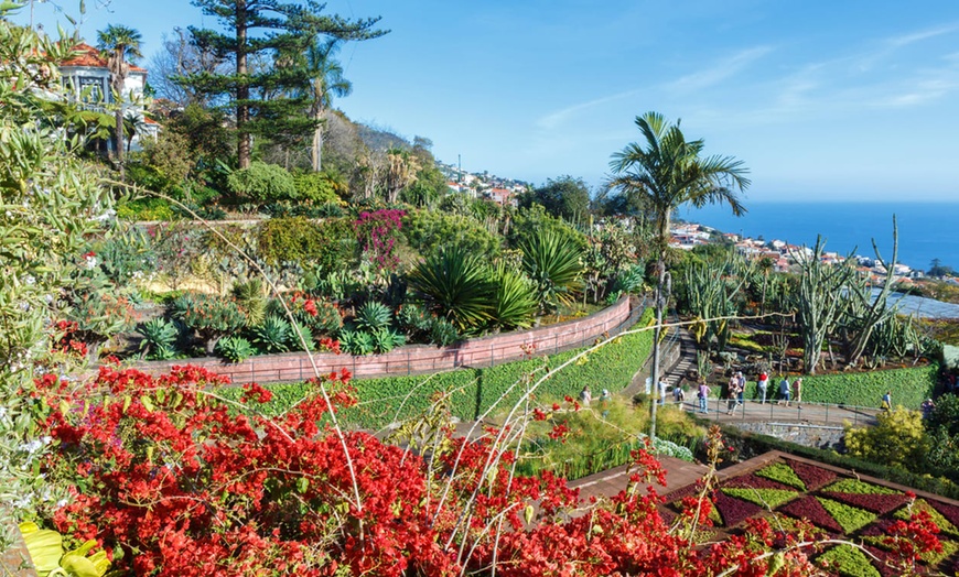 Image 9: ✈ MADÈRE | Funchal - Découvrez Madère en Autotour - Autotour