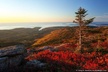 6 Hour Private Tour: Acadia National Park, Fjord & Lobster Lunch - Second Medium