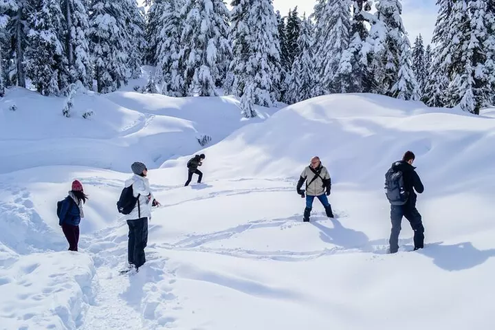 Mountain Snowshoeing & Photography - Primary Image