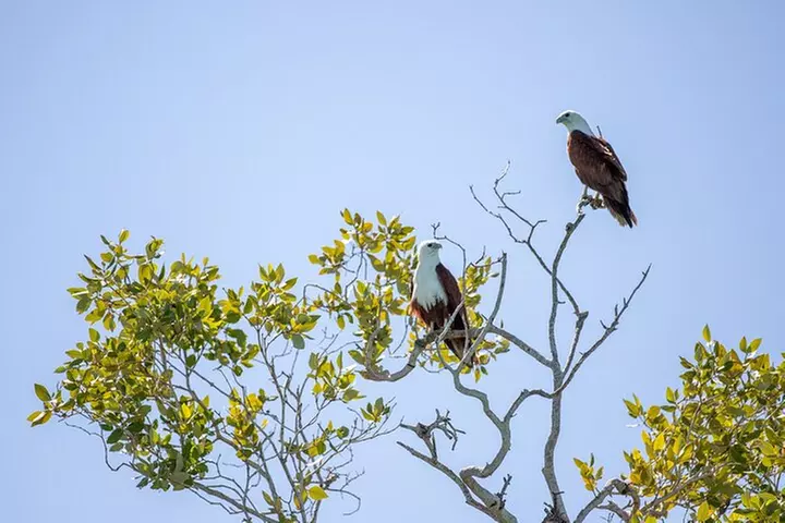 SCENIC AND PREHISTORIC CRUISE - Sparkling Wine & Gourmet Platters