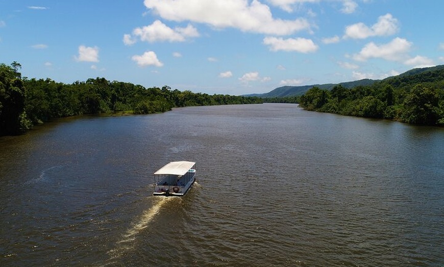 Image 1: Ultimate Daintree Rainforest Wildlife Experience Cruise