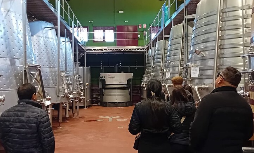 Image 9: Ribera del Duero Wine Tour : Dos Bodegas y Cata