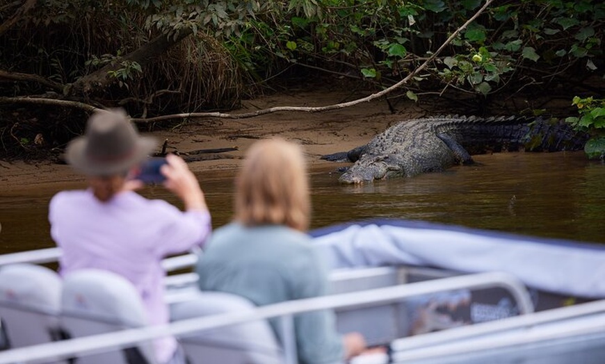 Image 15: Daintree River 'Sunset' Cruise with the Daintree Boatman