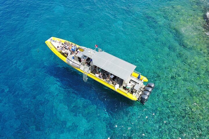 HIGH QUALITY Whale Watch Adventure Aboard Luxury Super Raft