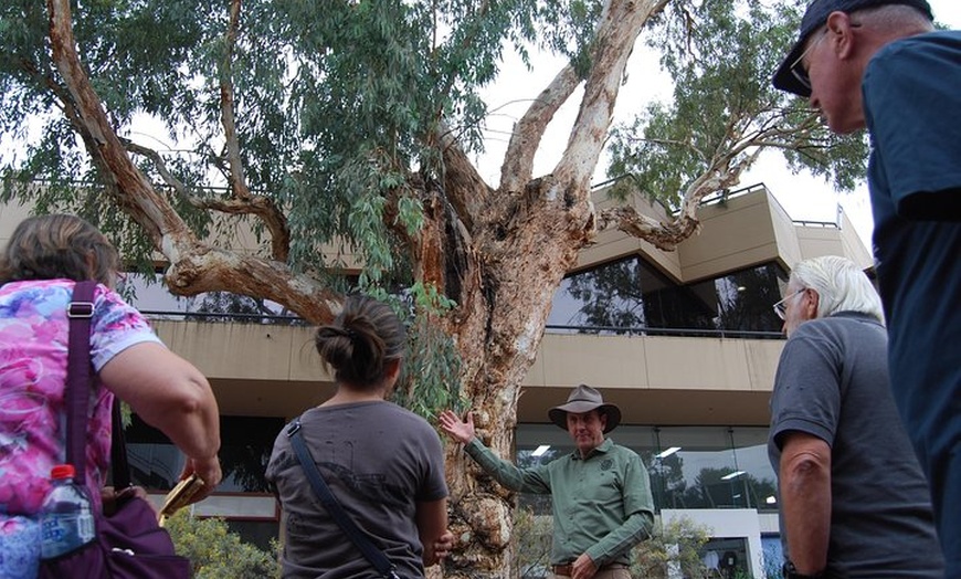 Image 6: Alice Springs Walking Tours