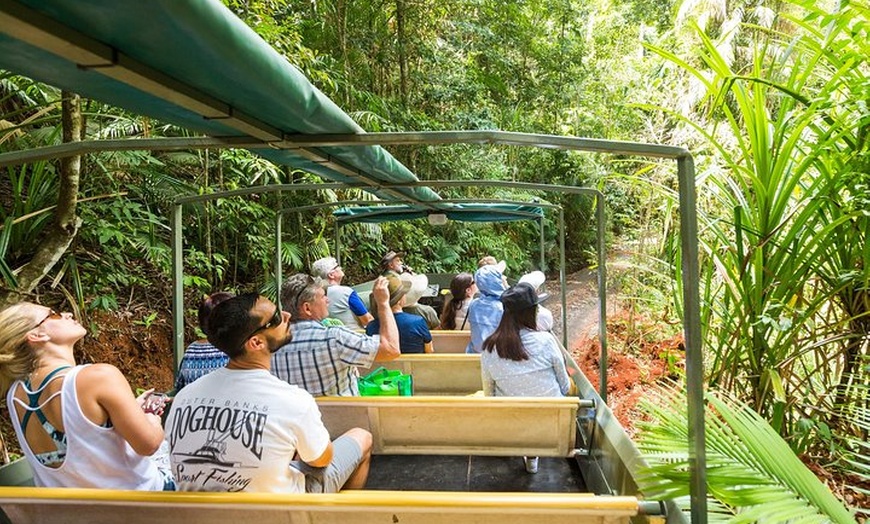 Image 17: Kuranda Scenic Railway Day Trip from Cairns