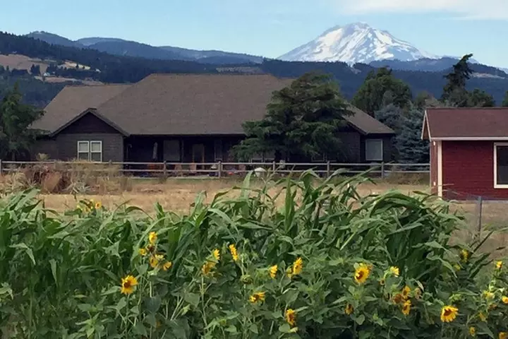 The Hood-Columbia Loop: Timberline, Orchards, and Waterfalls