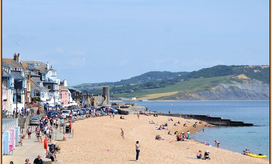 Image 2: Lyme Regis Town Walking Tours