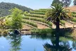 "Private Wine Tours of Napa Valley and Sonoma for 2 to 5 people" - Second Medium