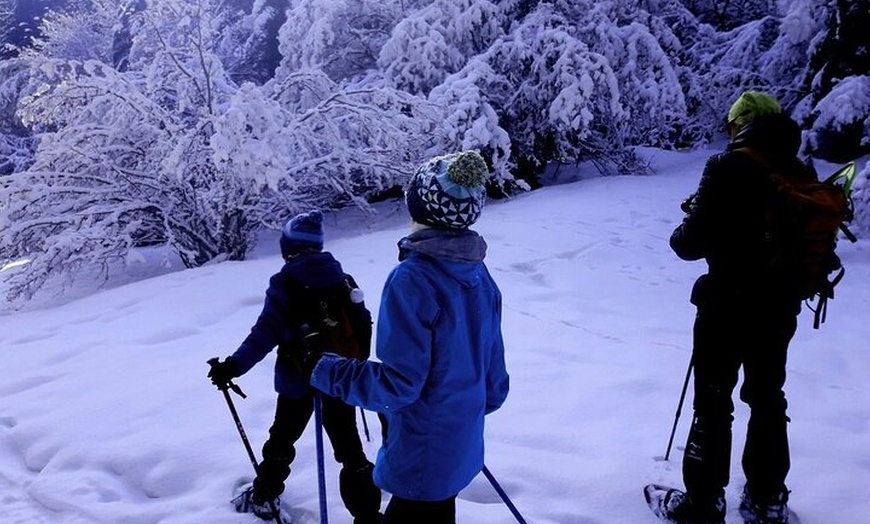 Image 2: Ruta Guiada con Raquetas de Nieve en el Parque Nacional en pirineos