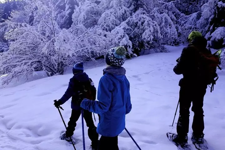 Ruta Guiada con Raquetas de Nieve en el Parque Nacional en pirineos