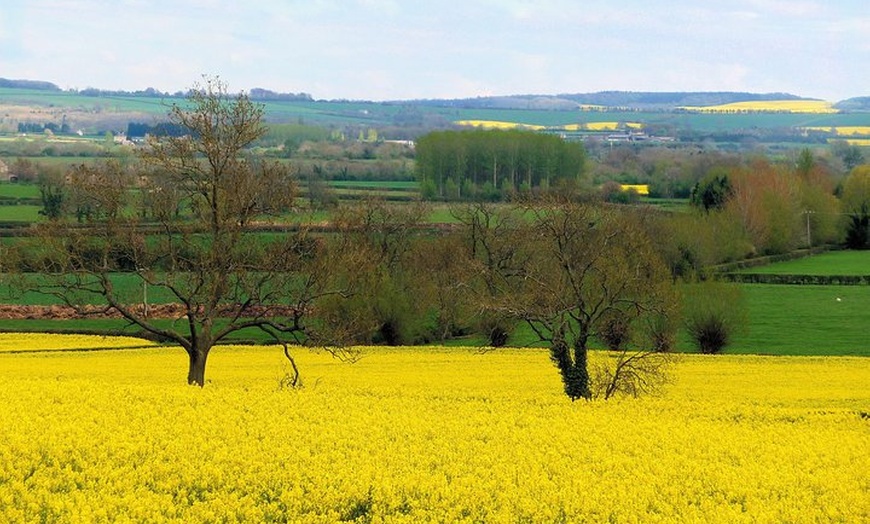 Image 6: Tour of Oxford, Stratford, Cotswolds with Spanish-Speaking Guide
