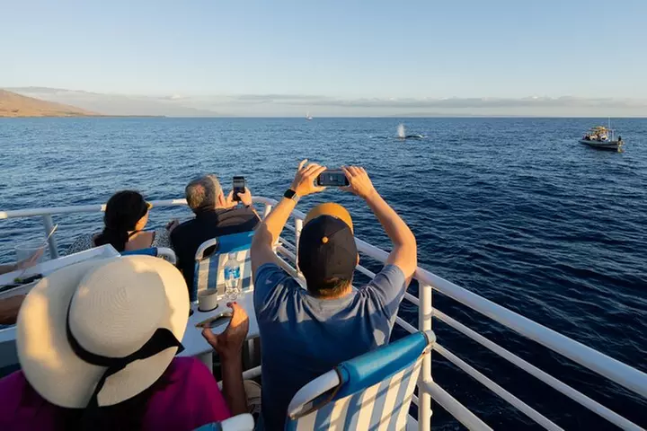 From Ma'alaea Harbor: Sunset Dinner Cruise Aboard the Quicksilver