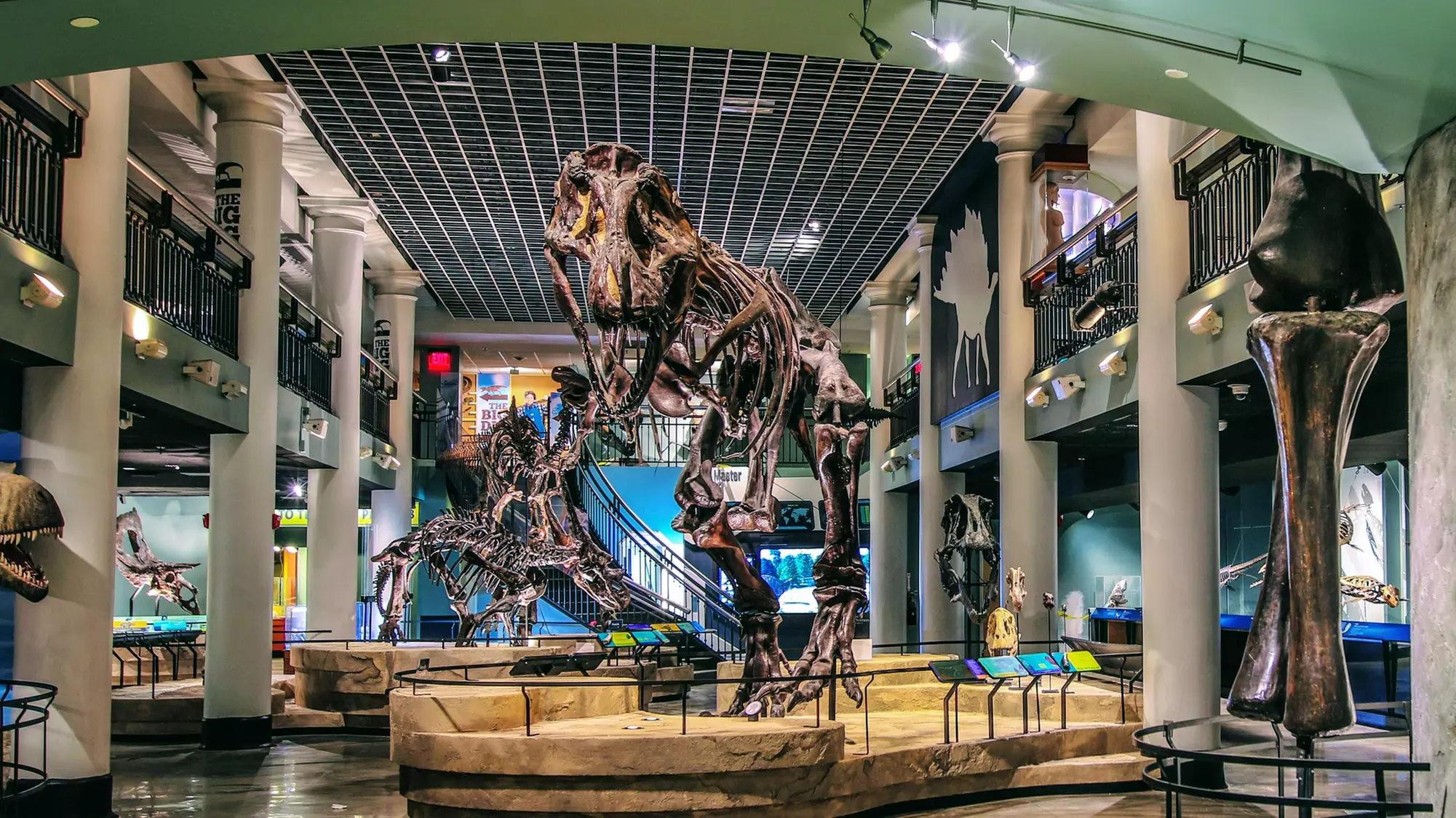 The Academy of Natural Sciences of Drexel University - Good Any Date Through Nov 1, 2019 - Primary Image
