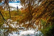 Sunset Photography Tour of Piedmont Park Atlanta - Second Medium