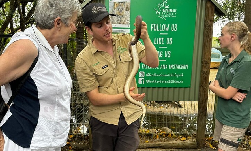 Image 5: PRIVATE Blue Mountains Scenic World Australian Wildlife & Cruise