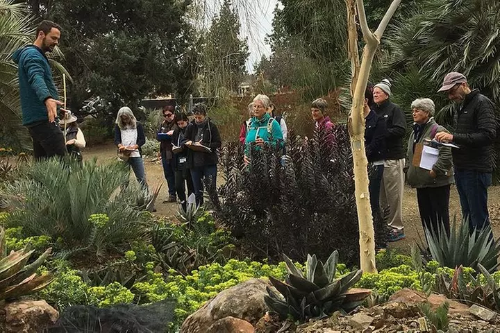 Ruth Bancroft Garden General Admission Ticket