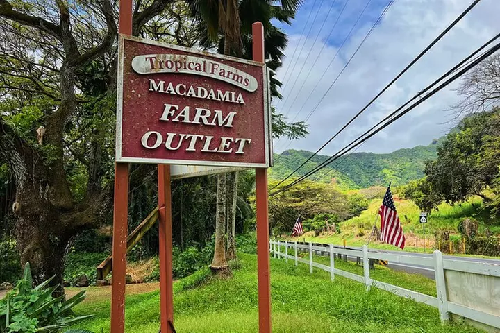 Diamond Head Hiking and Oahu Island Experience feat. North Shore