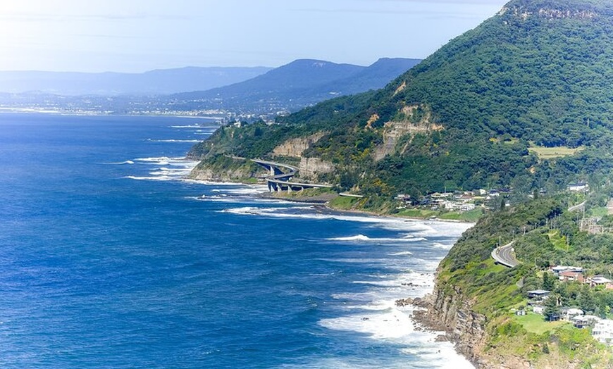 Image 4: Sea Cliff Bridge Tours with Whale Watching and Wine Tasting
