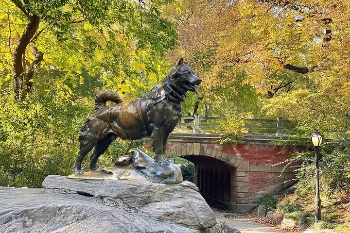 Guided Central Park Bike Tour 2 Hours