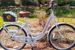Village Bicycle Rental Free Delivery in The Villages Florida - Second Medium