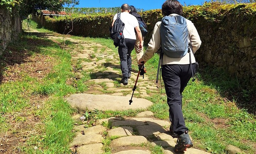 Image 2: Senderismo por el Camino de Santiago desde San Sebastián