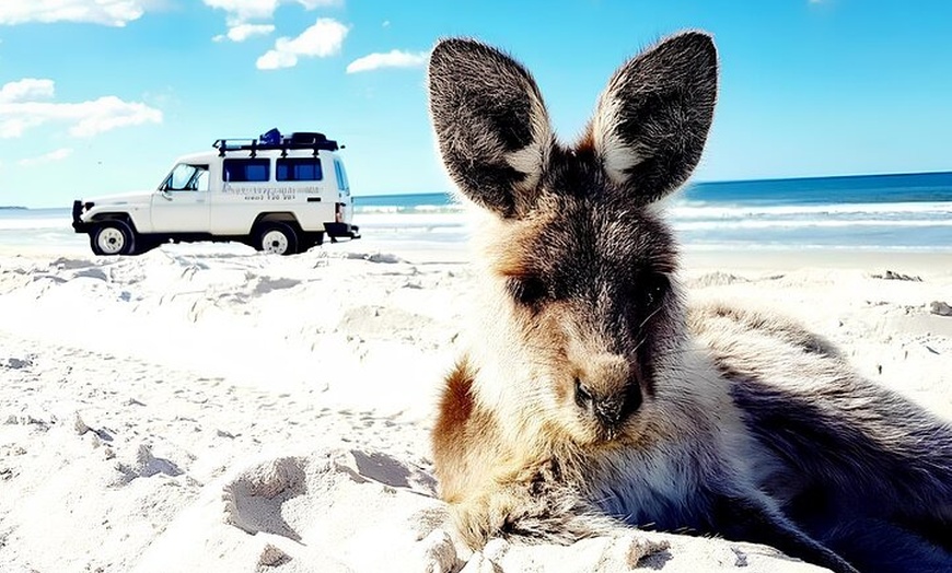 Image 14: Bribie Island 4WD Kayak and WWII Bunker Tour