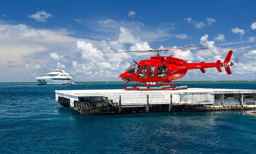 Image 17: Great Barrier Reef Snorkeling and Diving Cruise from Cairns