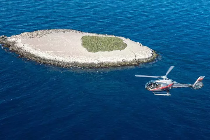 20-Minute Catalina Helicopter Tour - Primary Image