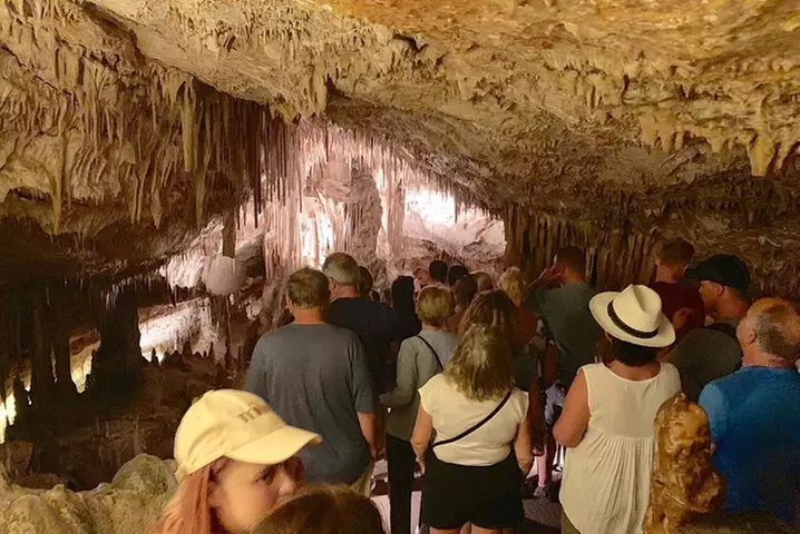 Excursión de día completo a las cuevas de Mallorca : Drach, Hams & ...