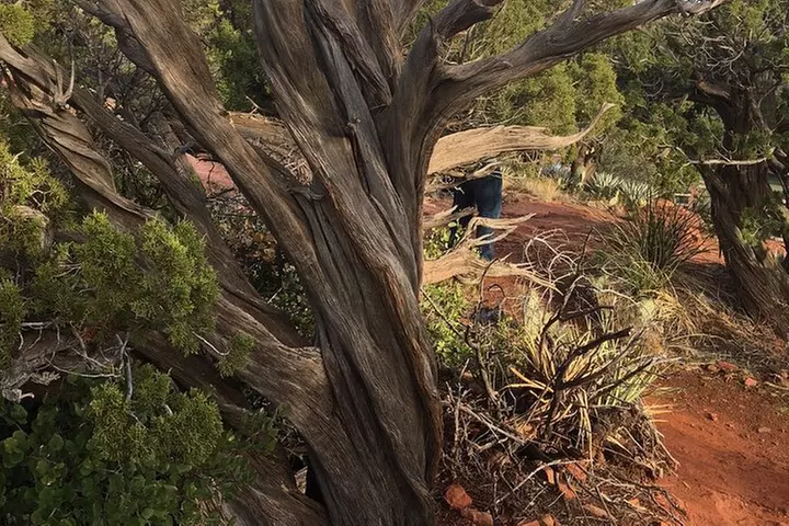 Best Vortex and Chakra Tour of Sedona