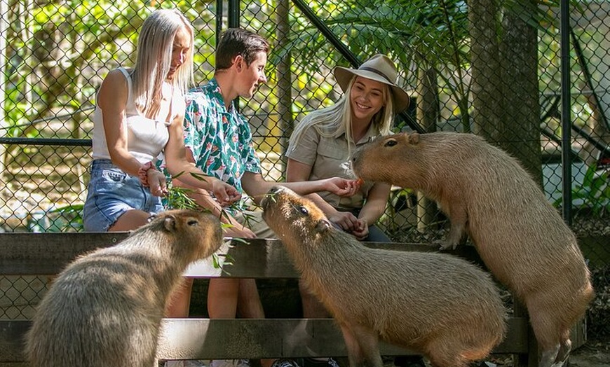 Image 15: Currumbin Wildlife Sanctuary General Entry Ticket