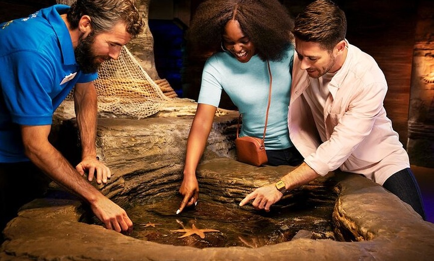 Image 7: Combo Ticket: Madame Tussauds & SEA LIFE London Aquarium