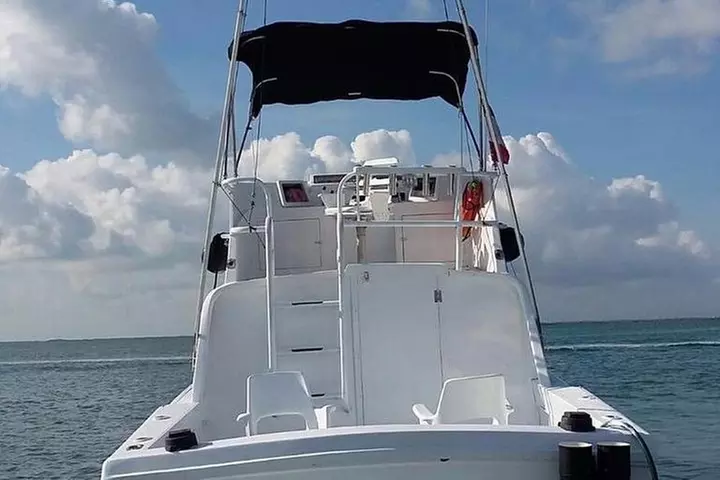 Private fishing charter Bertram 31ft 6 pax max if you don't fish yo...