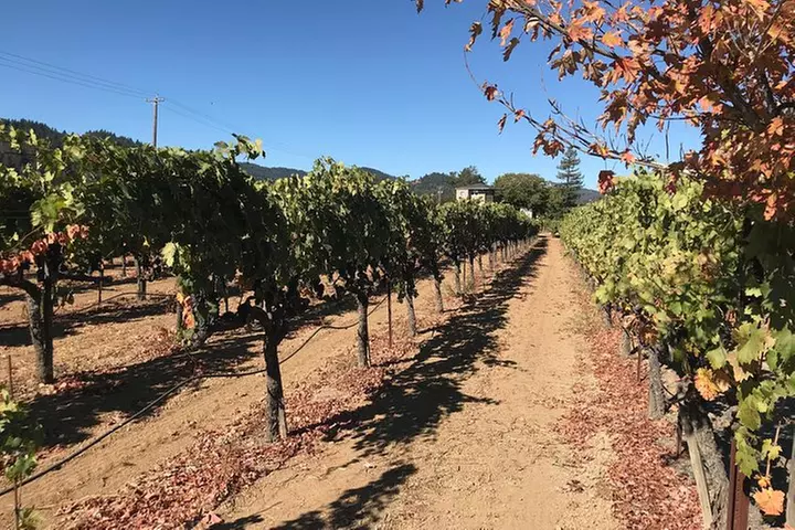 Small-Group Wine Country Tour from San Francisco with Tastings