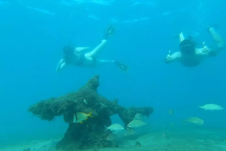 2 ½ - Hour Guided Snorkel Tour of Phil Foster Park, Free Videos!