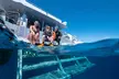 Great Barrier Reef Full Day Tour from Cairns - Image 6