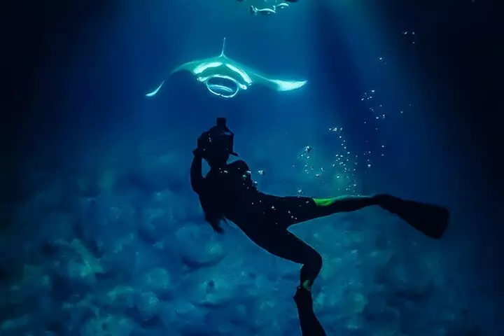 Manta Ray Night Snorkel Tour in Kailua-Kona, Big Island