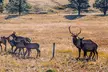 Private Pikes Peak Region Backcountry Full Day Adventure Tour - Second Medium