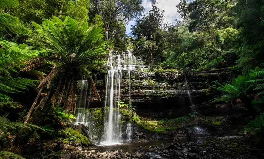 Image 7: 5-Day Lap of Tasmania Tour from Hobart (flexible ticket)