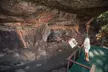 Kakadu National Park Wildlife & Ubirr Rock Art Tour from Darwin - Image 7