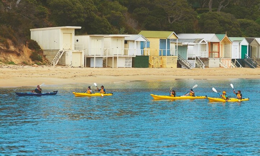 Image 4: Mornington Peninsula Kayak Coastline Tour of Dolphin Sanctuary