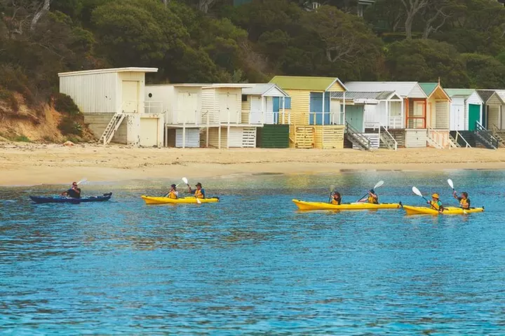 Mornington Peninsula Kayak Coastline Tour of Dolphin Sanctuary