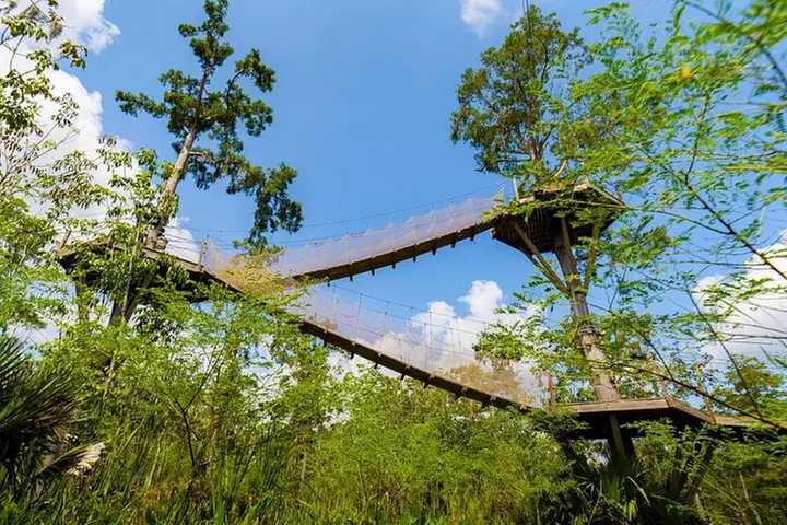 New Orleans Zipline Swamp Tour