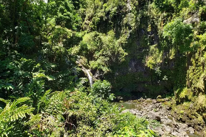Maui Tour : Road to Hana Day Trip from Lahaina with Pick-up