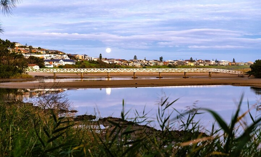 Image 11: Sea Cliff Bridge Tours with Whale Watching and Wine Tasting